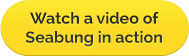 Watch a video of Seabung in Action